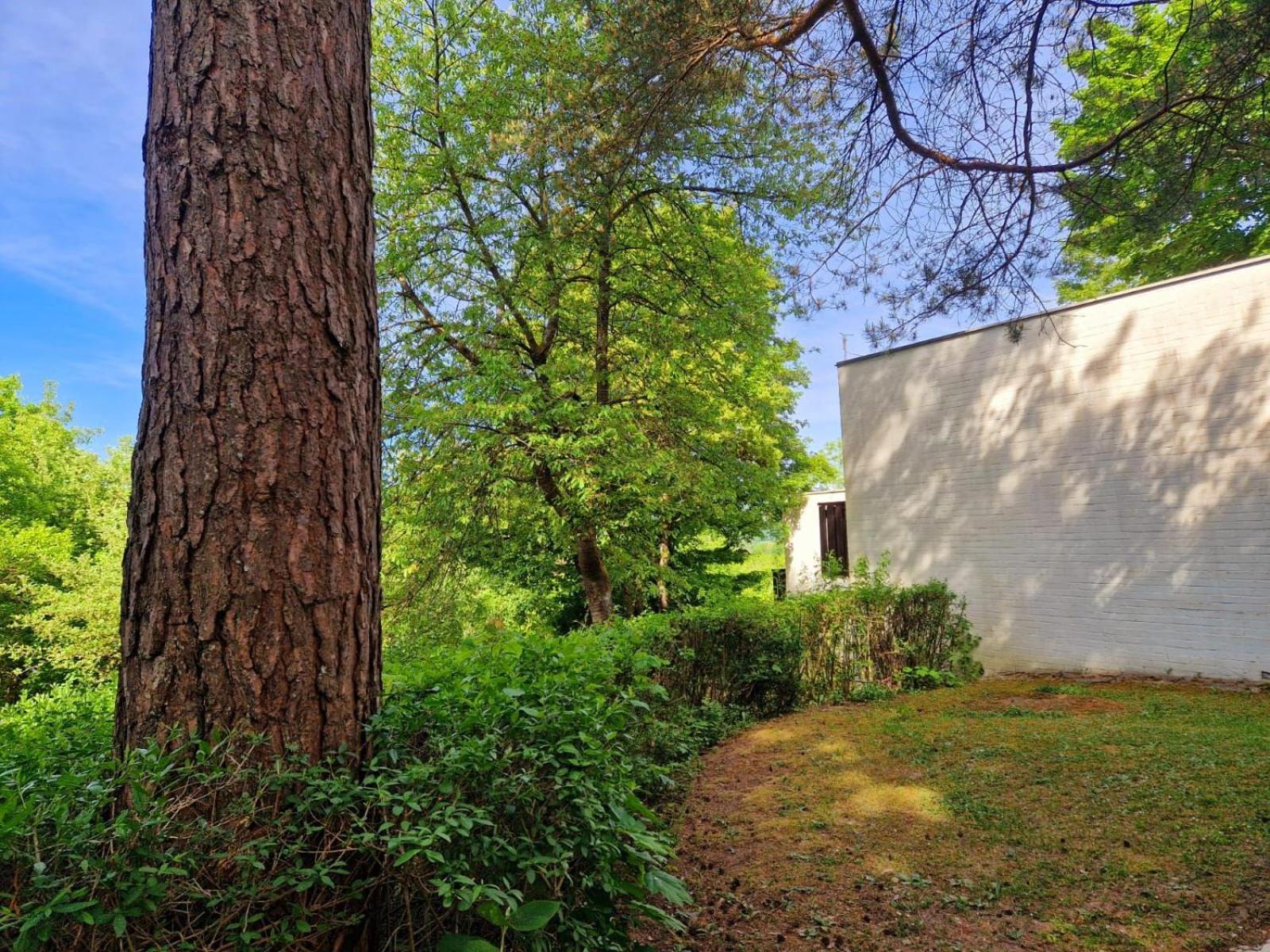 Berg-Bungalows Leinleitertal Heiligenstadt in Oberfranken Bagian luar foto