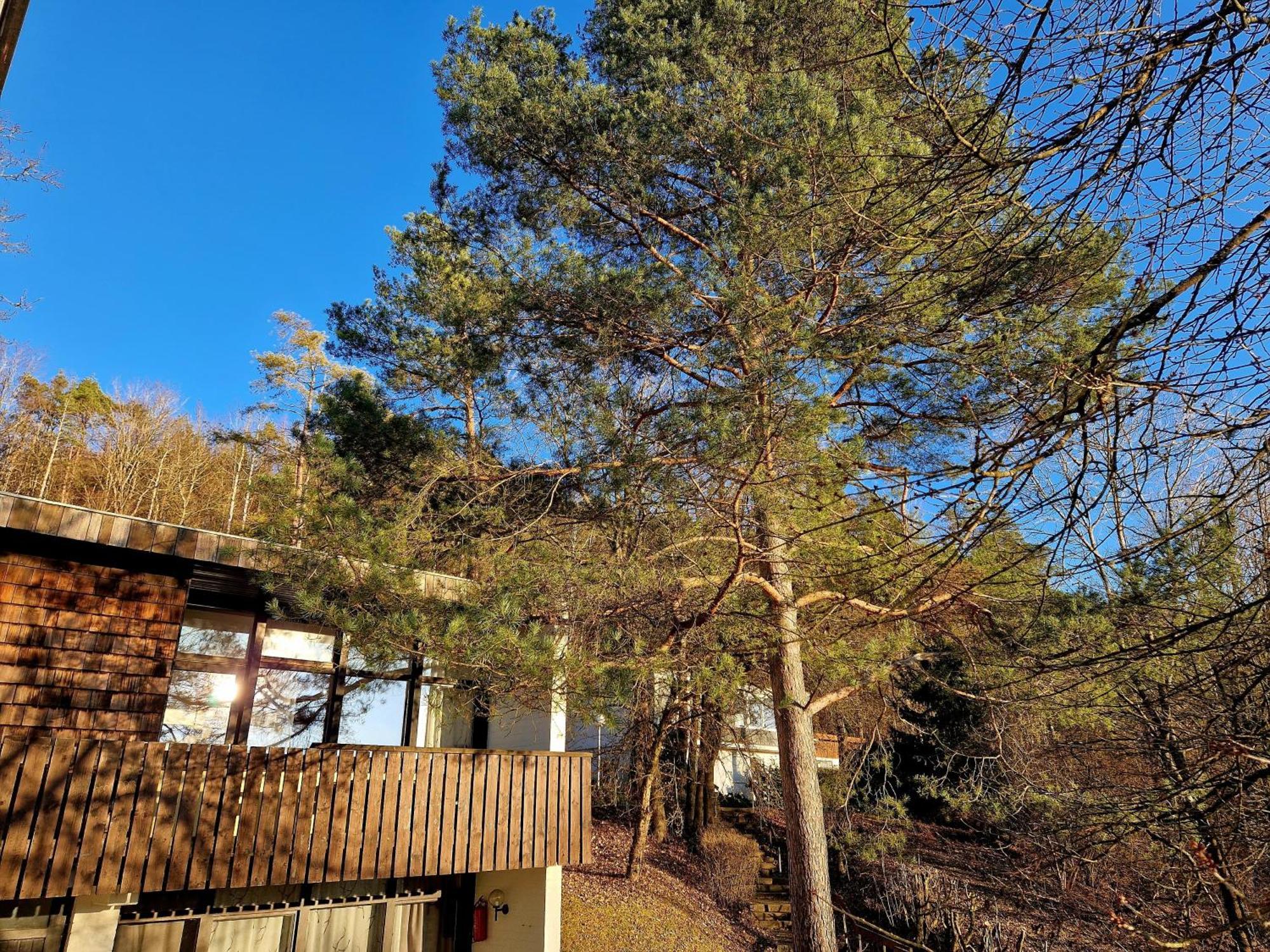Berg-Bungalows Leinleitertal Heiligenstadt in Oberfranken Bagian luar foto